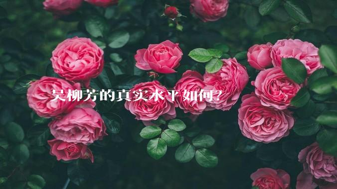 吴柳芳的真实水平如何？