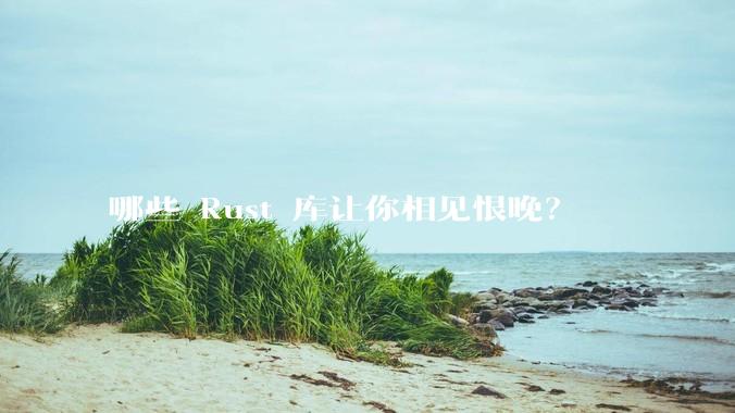 哪些 Rust 库让你相见恨晚？