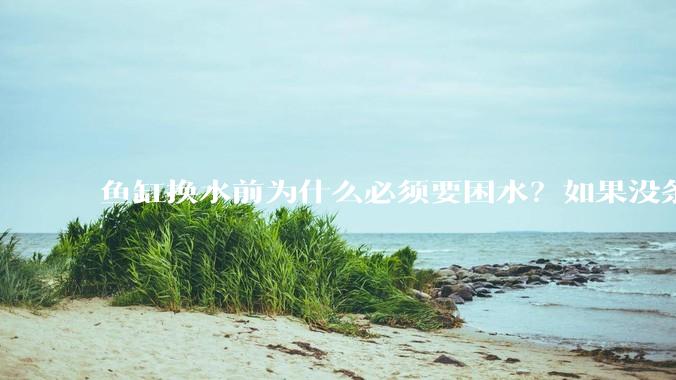 鱼缸换水前为什么必须要困水？如果没条件困水怎么办？